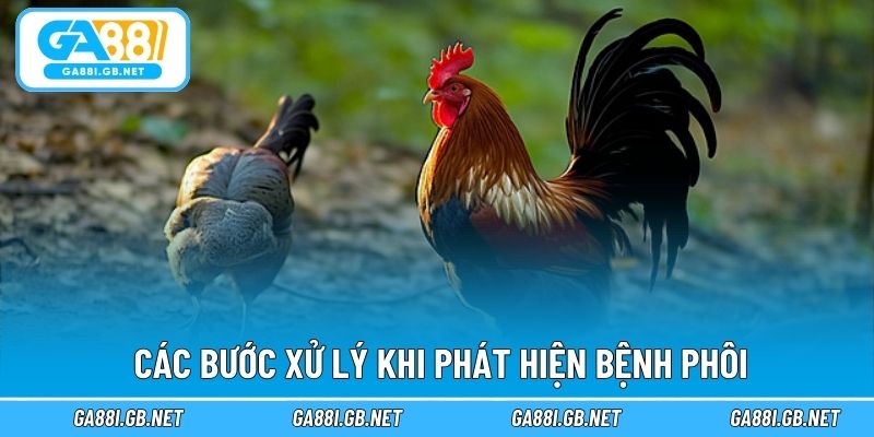 Các bước xử lý khi phát hiện bệnh phôi