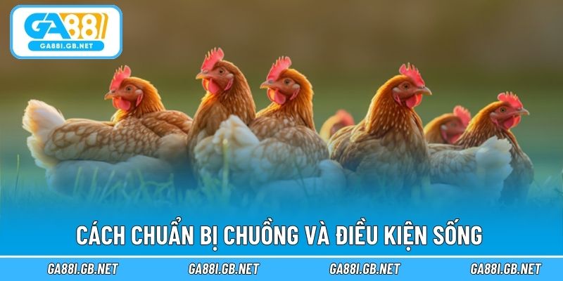 Cách chuẩn bị chuồng và điều kiện sống