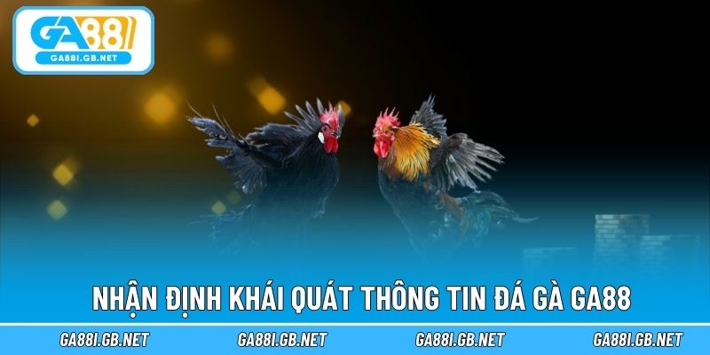 Nhận định khái quát thông tin đá gà GA88