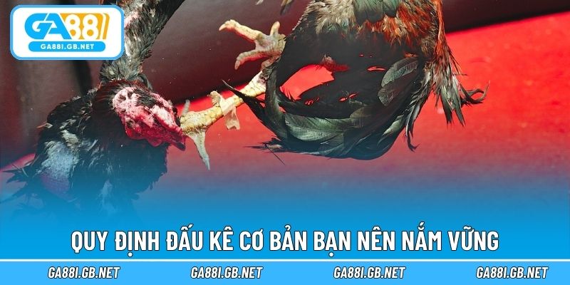 Quy định đấu kê cơ bản bạn nên nắm vững