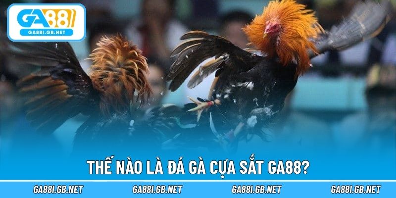 Thế nào là đá gà cựa sắt GA88?